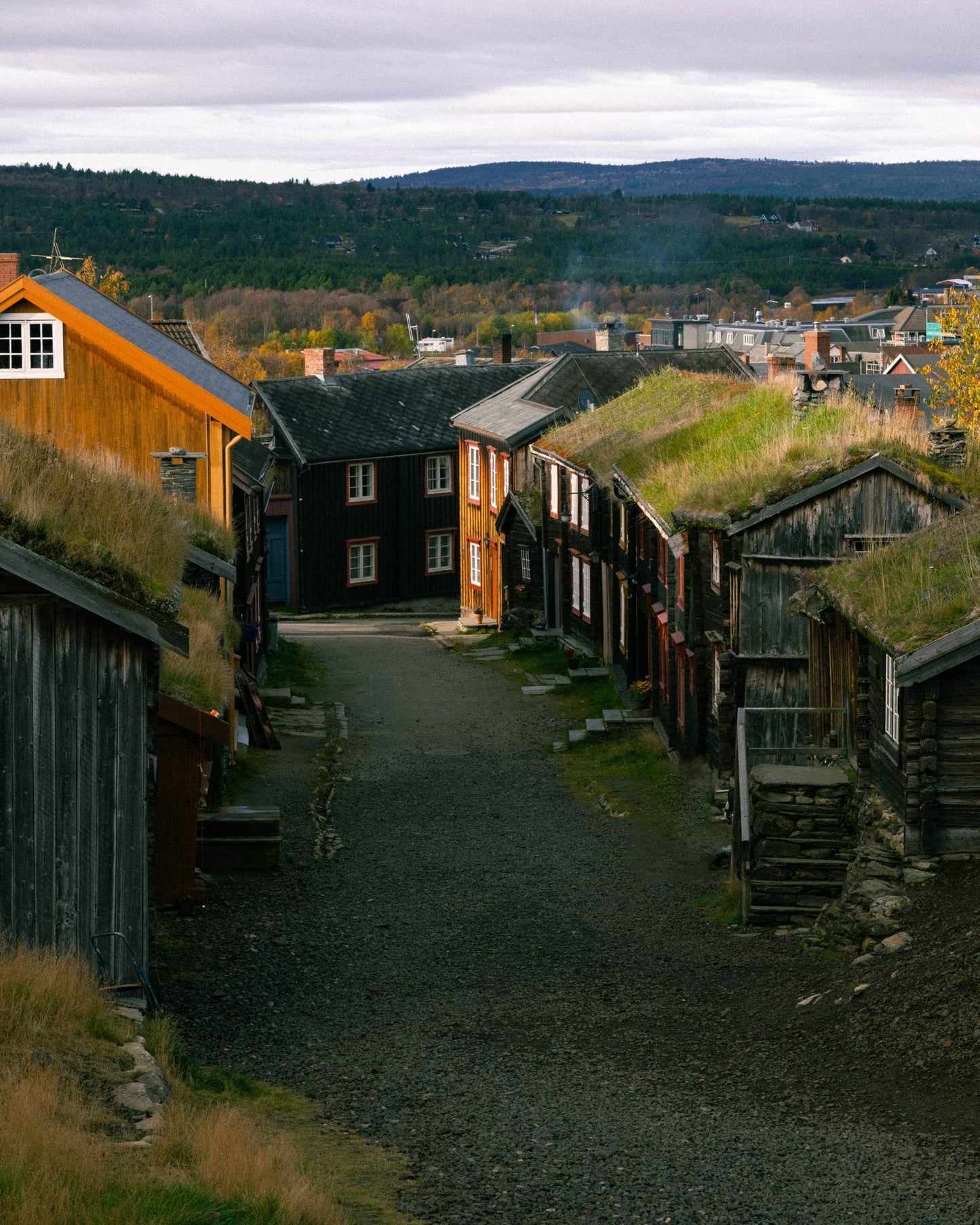 "Alfré in Røros" Limited Edition Graphic Tee (FW23)
