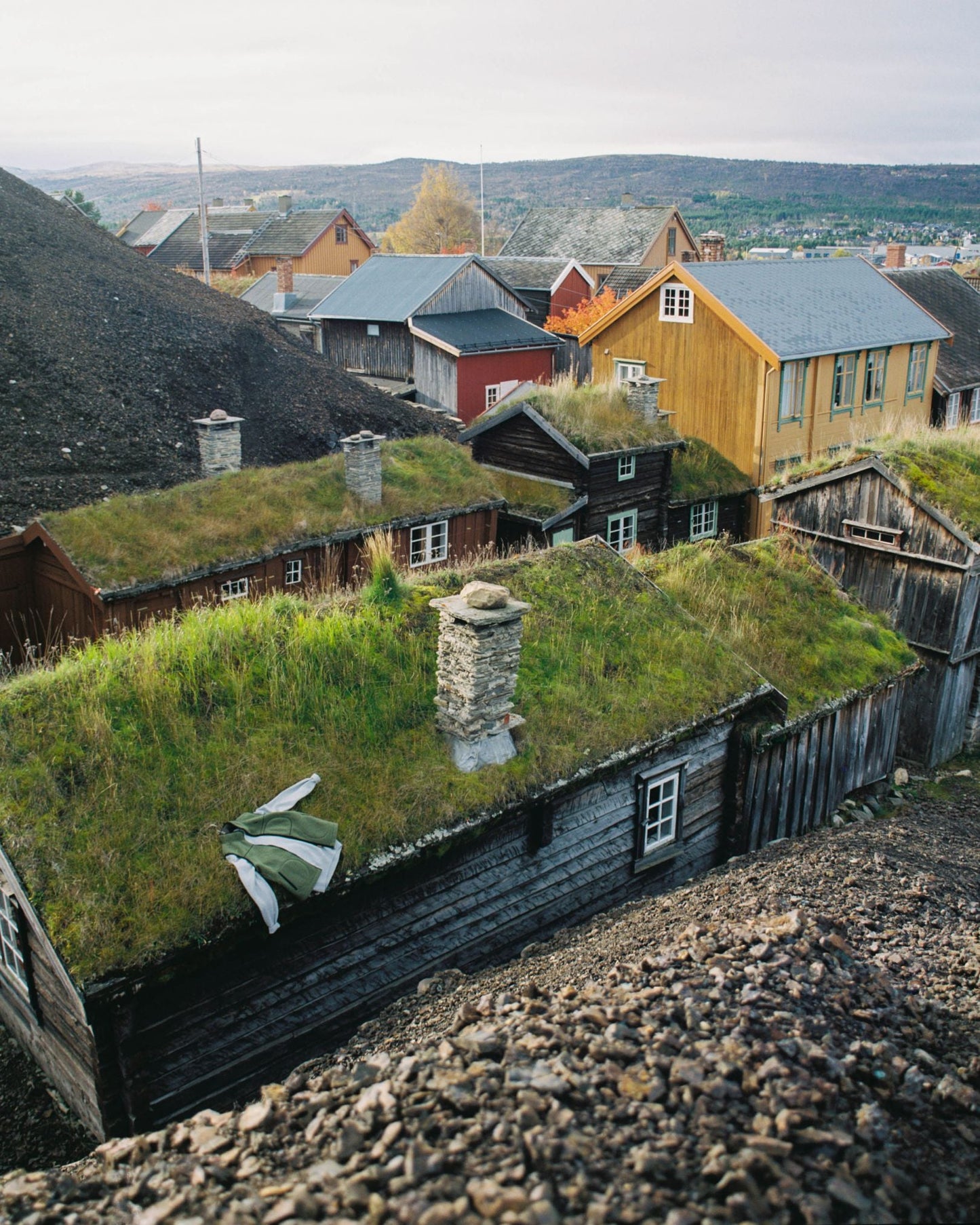 "Alfré in Røros" Limited Edition Graphic Tee (FW23)